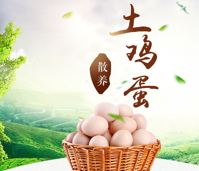 雞蛋 農(nóng)村土雞蛋批發(fā) 山林散養(yǎng)草雞蛋 農(nóng)家散養(yǎng)柴雞蛋笨雞蛋示例圖1