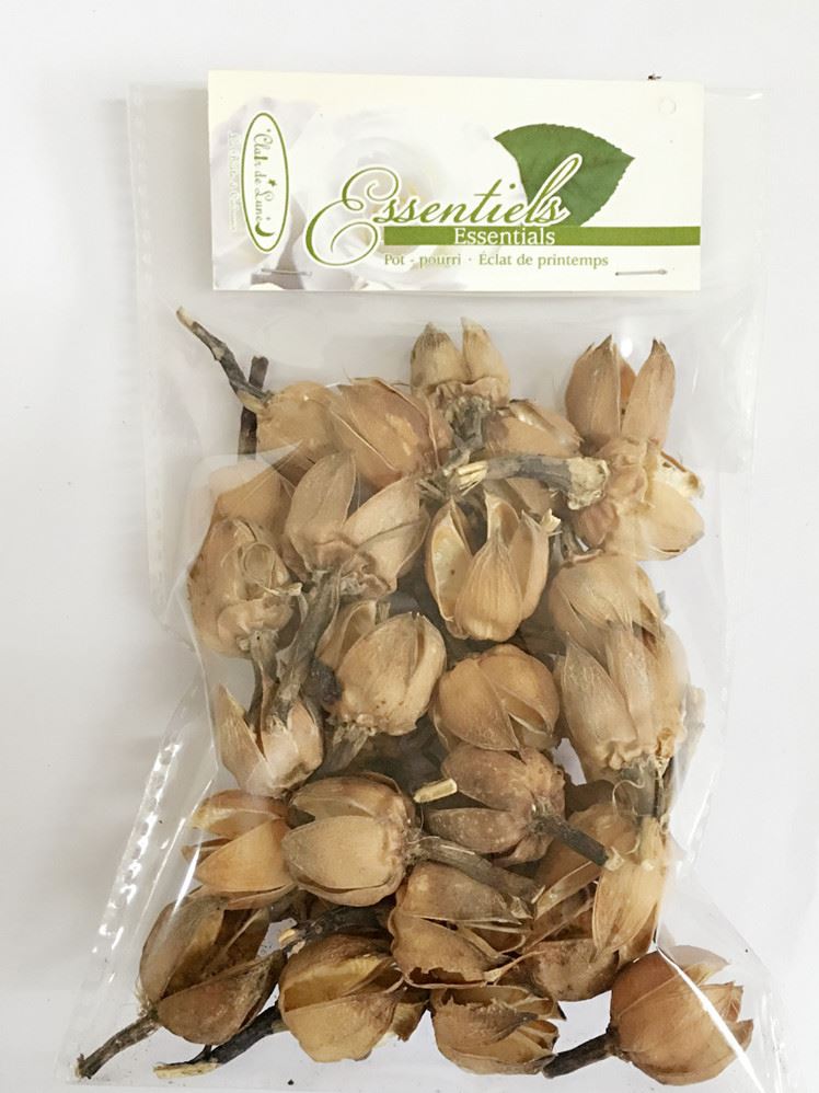 批發(fā)天然干花材料玫瑰殼棉花殼十字果刺猬果示例圖2