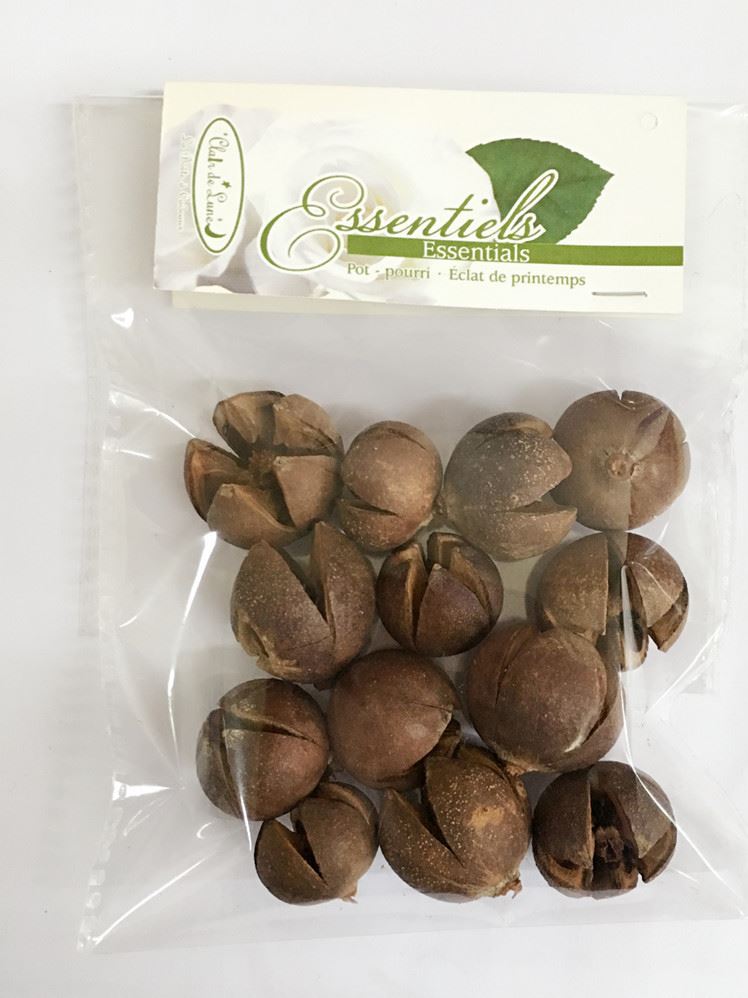 批發(fā)天然干花材料玫瑰殼棉花殼十字果刺猬果示例圖3