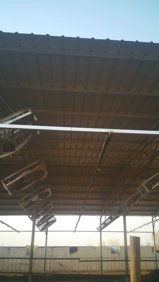畜牧業 奶牛場牛舍懸掛 降溫 節能風扇風機 國標電機示例圖2