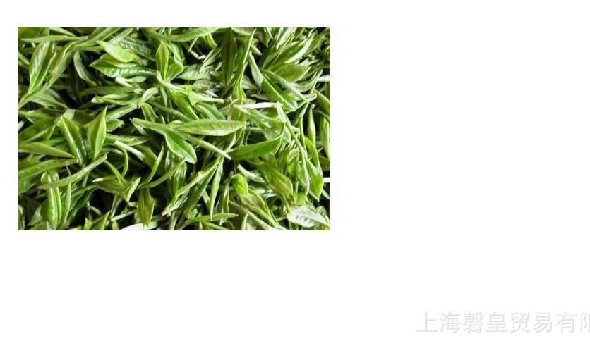 廠家直銷盾皇奶茶盾皇茉莉綠茶茉香綠茶全國(guó)包郵特價(jià)促銷示例圖2