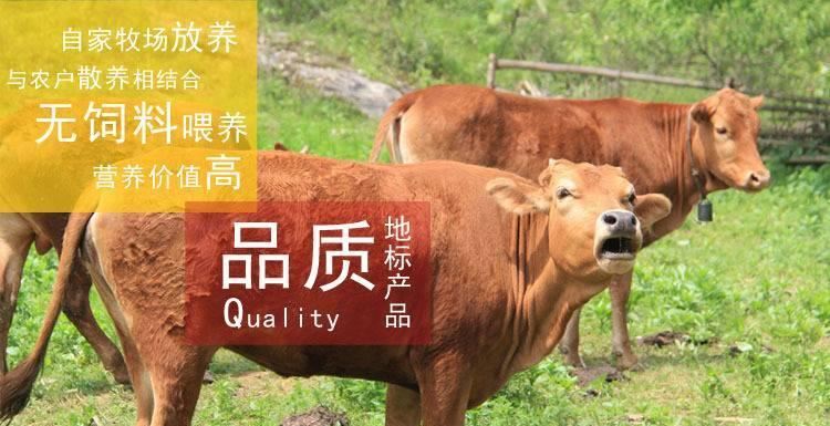 湖南特產(chǎn)新晃黃牛肉福祥大禮包688g 肉類豆制品素肉毛肚零食熱賣示例圖2