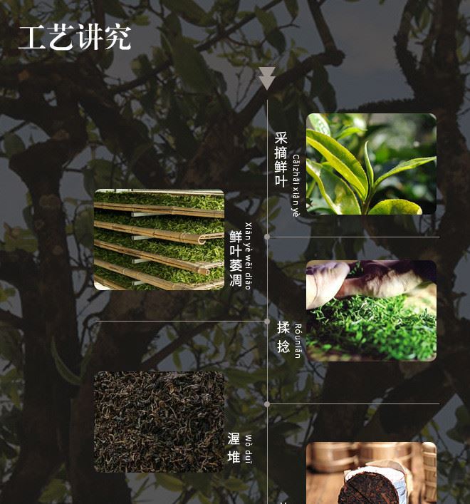 茶葉云南特產(chǎn)普洱茶 101玲瓏七子餅 老班章  普洱茶熟茶 古樹茶示例圖15