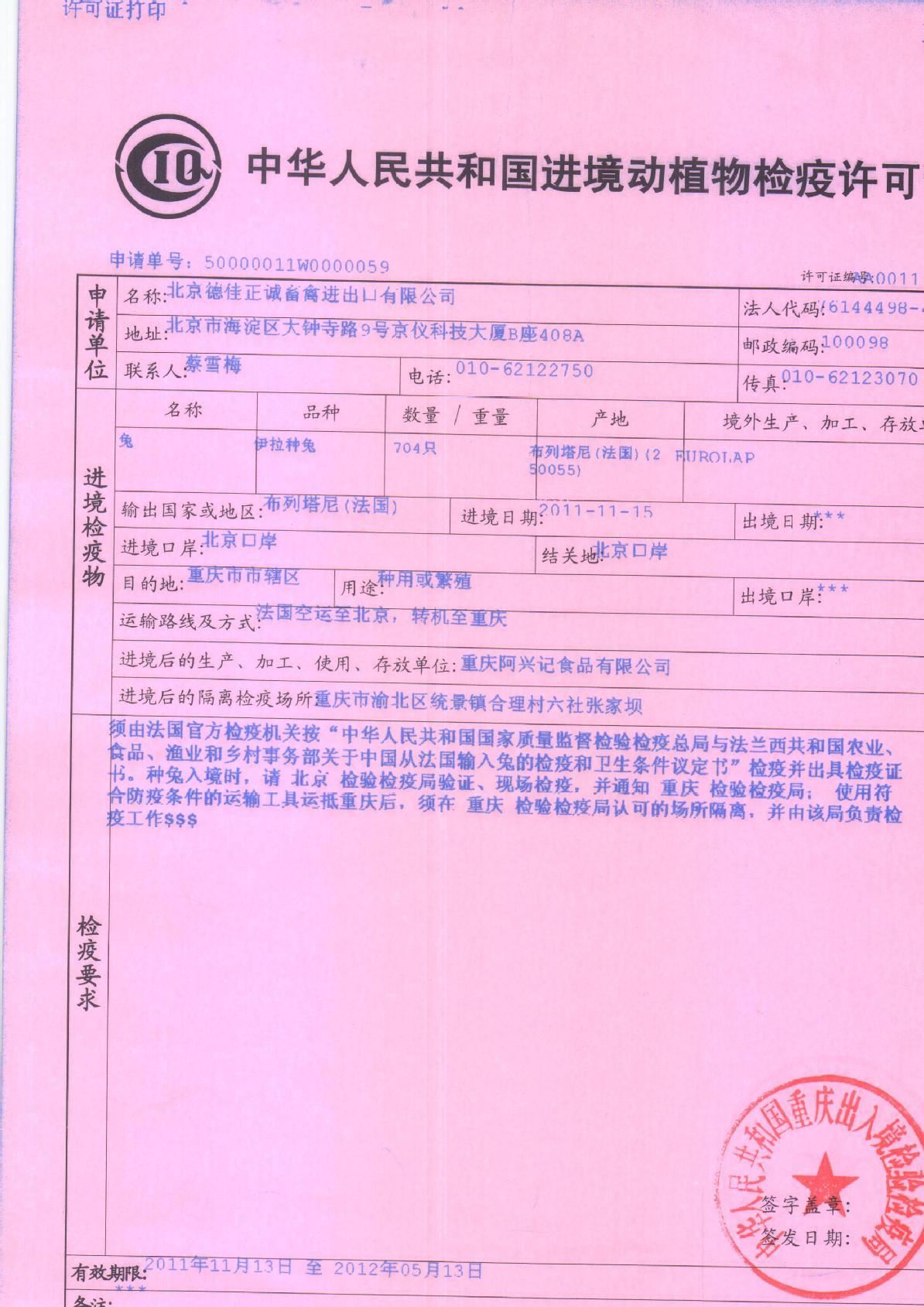 伊拉種兔父母代-母兔-阿興記兔業分公司示例圖4