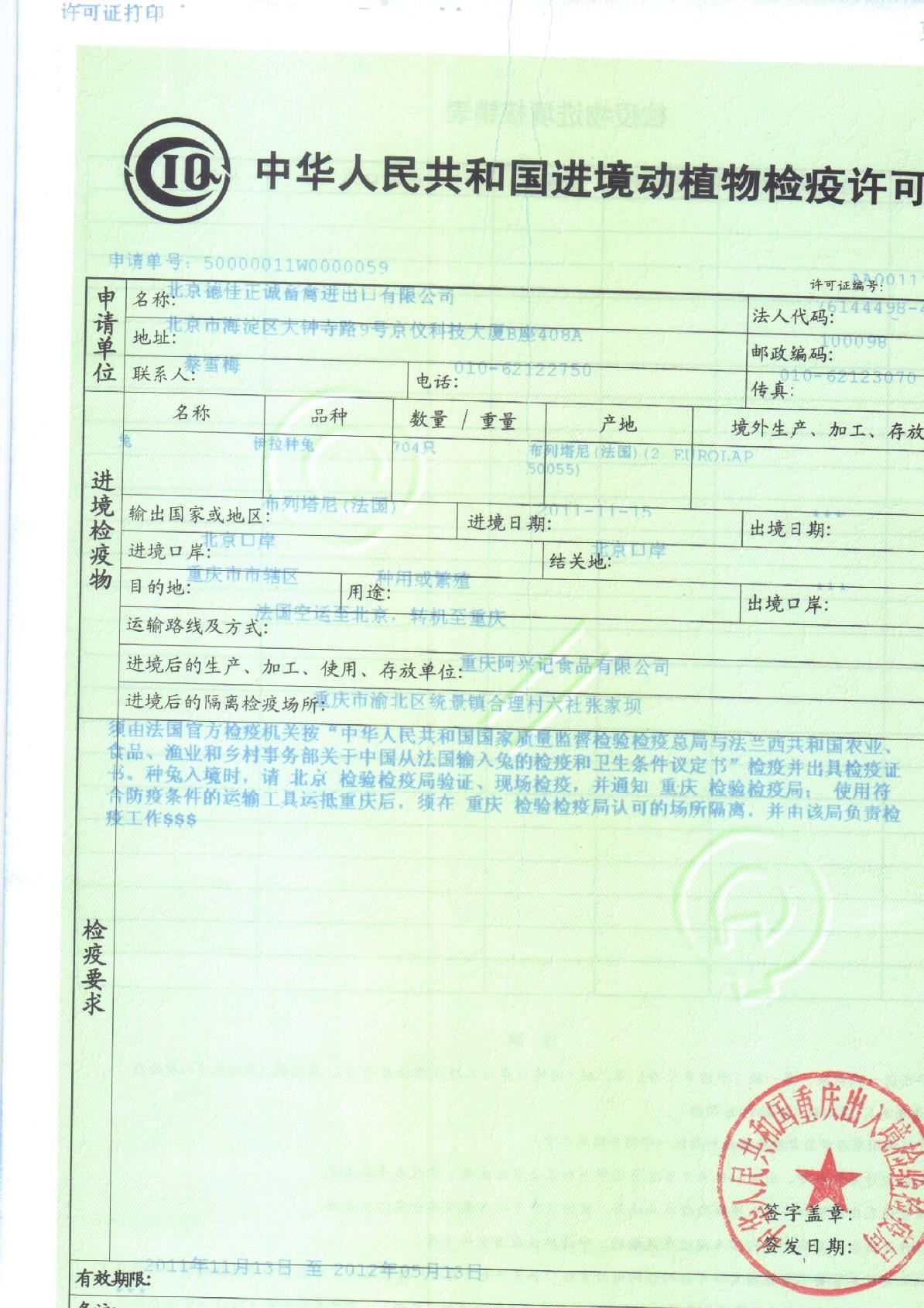 伊拉種兔父母代-母兔-阿興記兔業分公司示例圖5