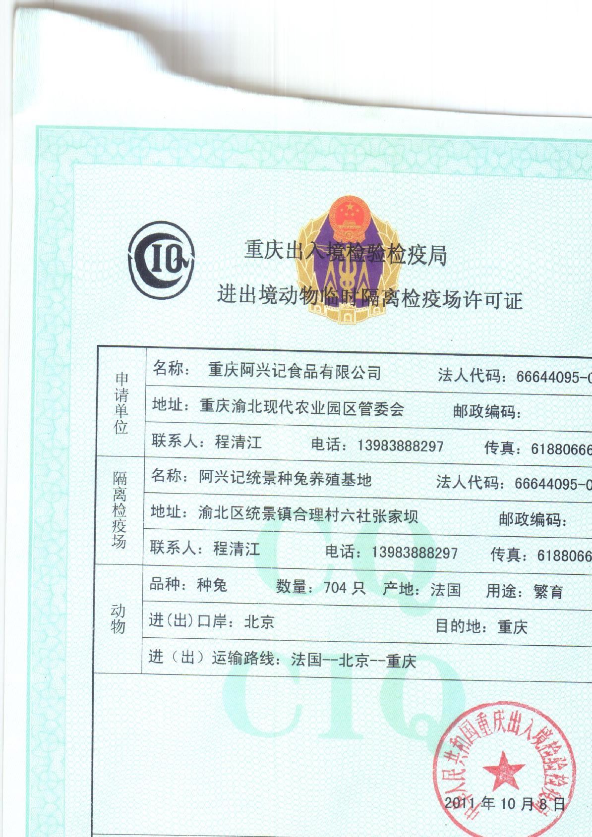 伊拉種兔父母代-母兔-阿興記兔業分公司示例圖7