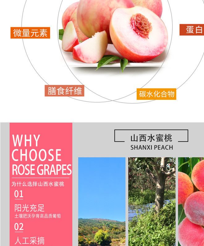 山西運城毛桃脆桃新鮮現摘現發水蜜桃5斤包郵桃子孕婦水果示例圖5
