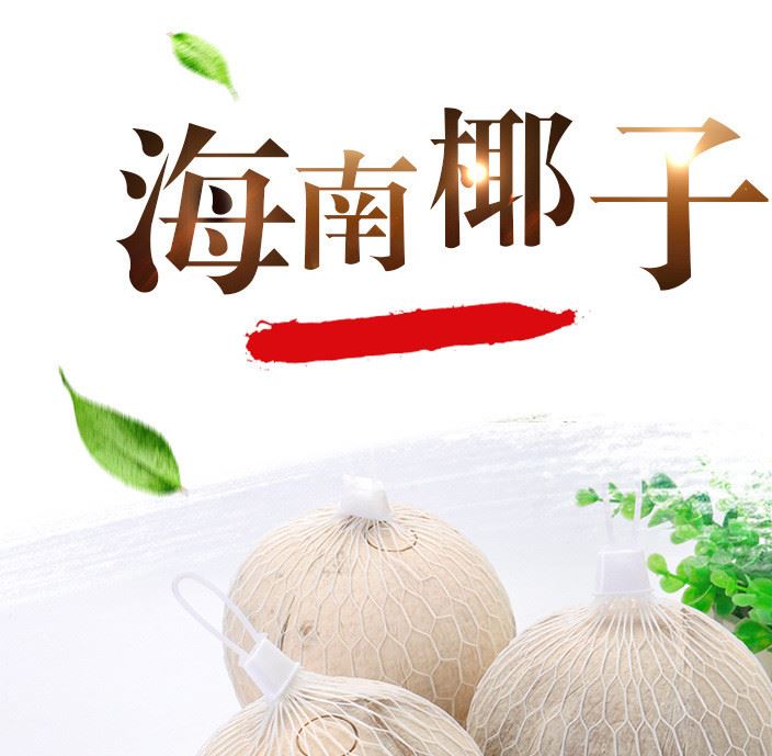 批發(fā)海南特產(chǎn)新鮮水果現(xiàn)摘現(xiàn)發(fā)椰子熱帶解暑水果清甜爽口9個裝示例圖1