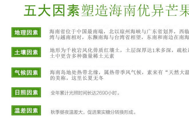 海南熱帶水果 新鮮金煌芒果 金黃皮水仙芒 大澳芒示例圖12