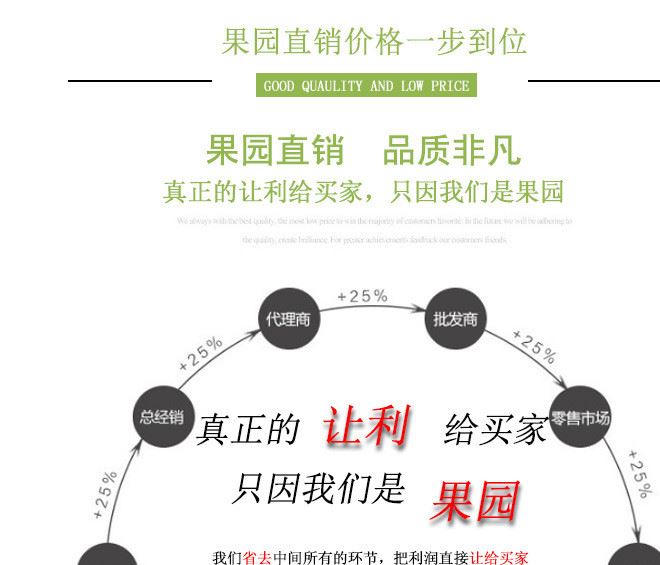 海南熱帶水果 新鮮金煌芒果 金黃皮水仙芒 大澳芒示例圖13