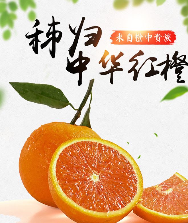 湖北特產(chǎn)水果批發(fā) 中華紅橙5kg 一件代發(fā) 肉脆多汁酸甜濃郁示例圖1