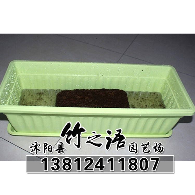 無菌壓縮椰粉磚椰磚650克椰土椰糠磚多肉土-芽菜專用批發(fā)示例圖6