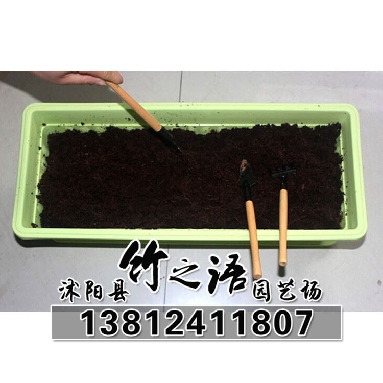 無菌壓縮椰粉磚椰磚650克椰土椰糠磚多肉土-芽菜專用批發(fā)示例圖7