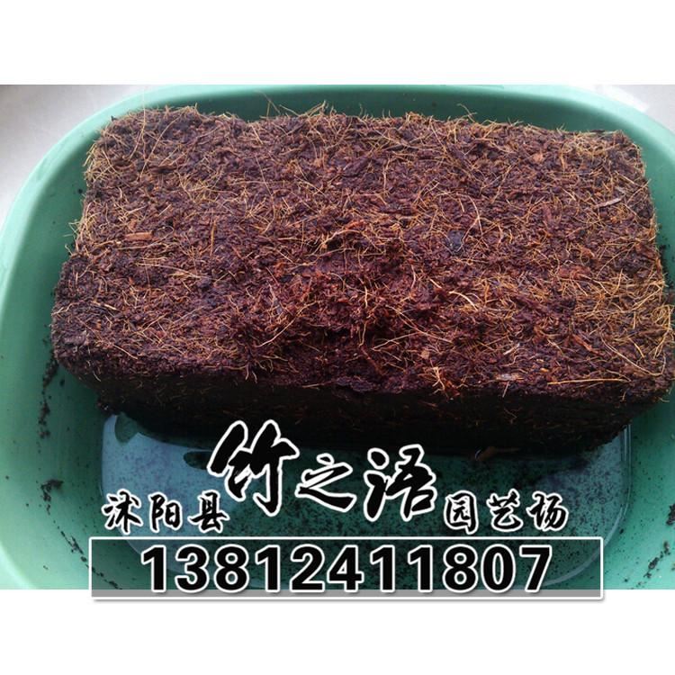 無菌壓縮椰粉磚椰磚650克椰土椰糠磚多肉土-芽菜專用批發(fā)示例圖9