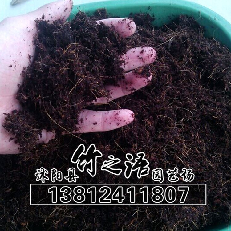 無菌壓縮椰粉磚椰磚650克椰土椰糠磚多肉土-芽菜專用批發(fā)示例圖10