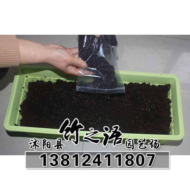 無菌壓縮椰粉磚椰磚650克椰土椰糠磚多肉土-芽菜專用批發(fā)示例圖11