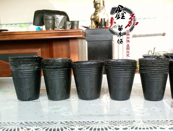 厂家直销 黑色塑料营养钵 育苗袋 营养杯  种植盆 花盆示例图12