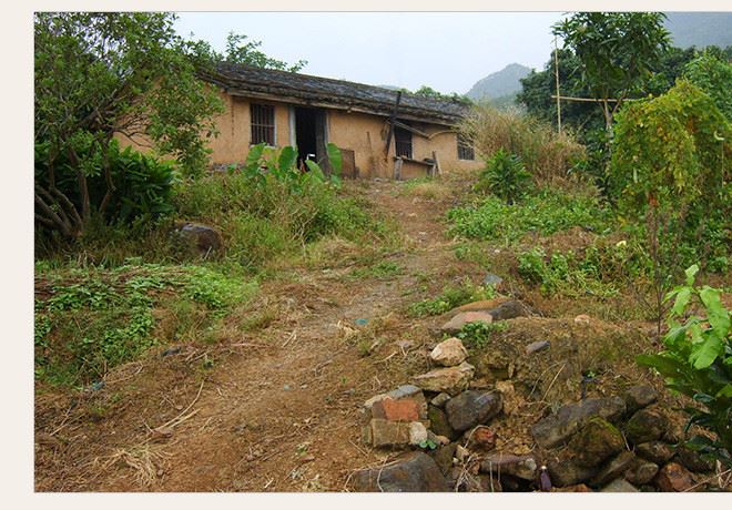 預售 平和音加農(nóng)莊紅心柚子 新鮮甜柚子紅肉基地直供 果園直發(fā)批示例圖13