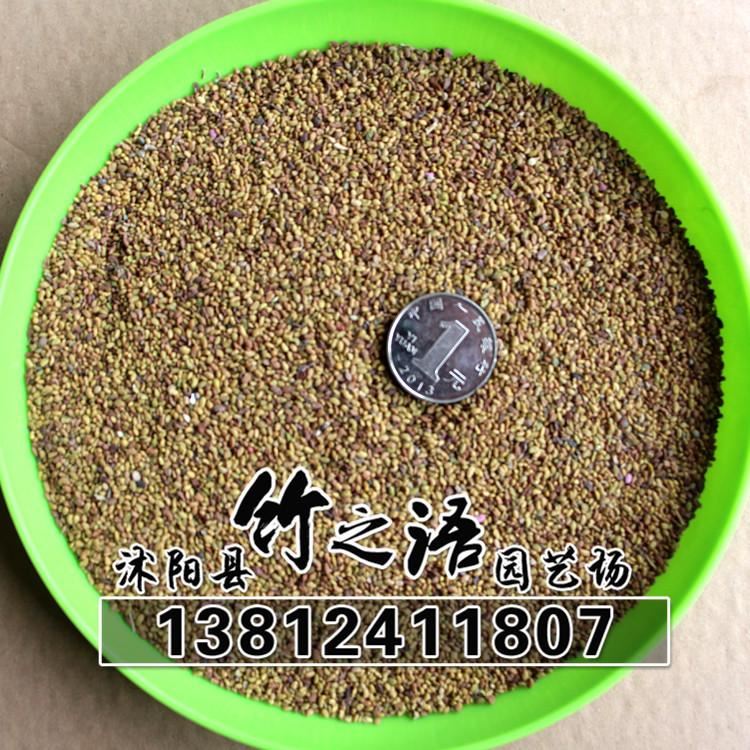 草花種子銷售 品種多 紫花苜蓿草種批發(fā) 量大優(yōu)惠  地被草花種子示例圖2