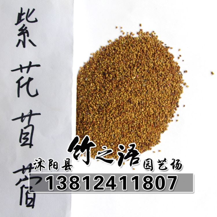 草花種子銷售 品種多 紫花苜蓿草種批發(fā) 量大優(yōu)惠  地被草花種子示例圖4