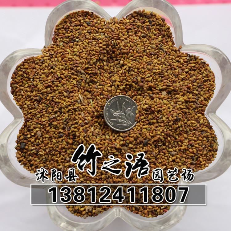 草花種子銷售 品種多 紫花苜蓿草種批發(fā) 量大優(yōu)惠  地被草花種子示例圖6