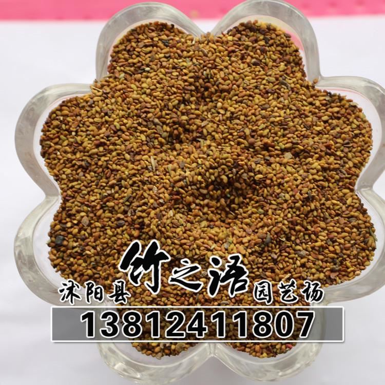 草花種子銷售 品種多 紫花苜蓿草種批發(fā) 量大優(yōu)惠  地被草花種子示例圖7