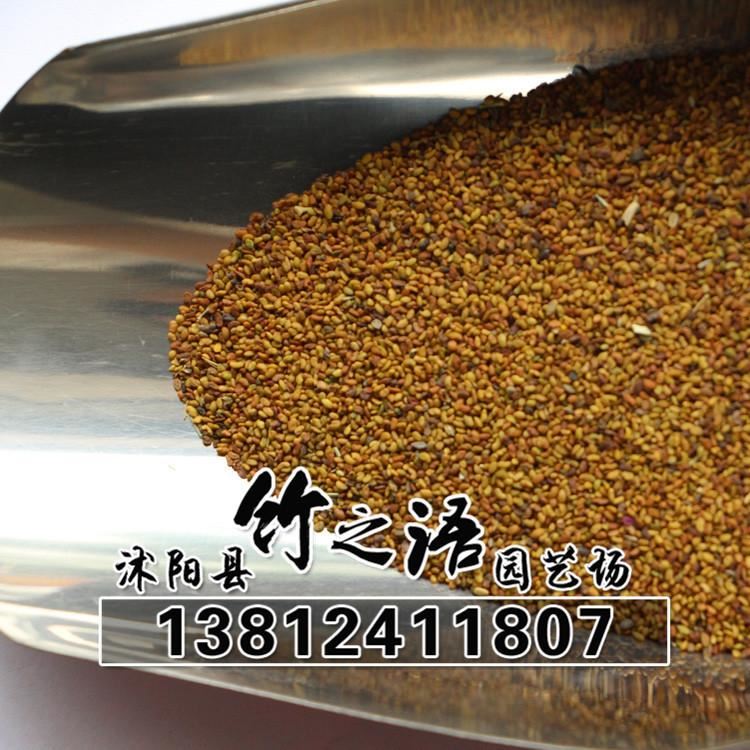 草花種子銷售 品種多 紫花苜蓿草種批發(fā) 量大優(yōu)惠  地被草花種子示例圖8