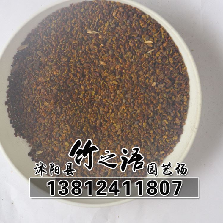 草花種子銷售 品種多 紫花苜蓿草種批發(fā) 量大優(yōu)惠  地被草花種子示例圖12