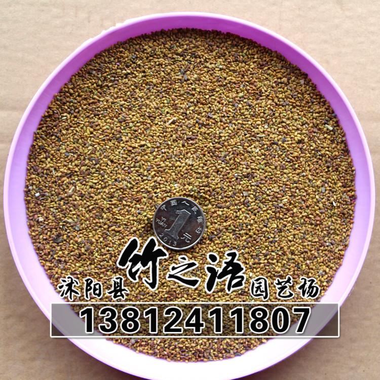 草花種子銷售 品種多 紫花苜蓿草種批發(fā) 量大優(yōu)惠  地被草花種子示例圖17