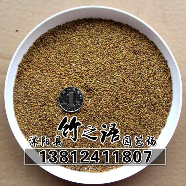 草花種子銷售 品種多 紫花苜蓿草種批發(fā) 量大優(yōu)惠  地被草花種子示例圖18