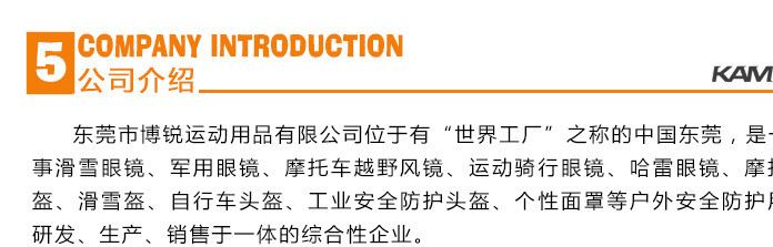 新款潮流哈雷眼鏡廠家直銷戶外運動防風(fēng)塵哈雷眼鏡摩托車哈雷眼鏡示例圖9