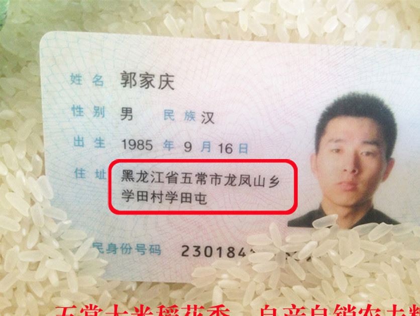 廠家直銷貼牌代理五常稻花香白酒基酒批發原漿酒桶裝糧散裝酒示例圖1