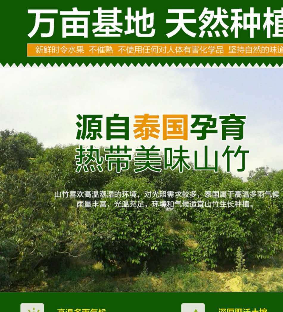 泰國山竹5斤裝單果60g-130g新鮮泰國山竹示例圖4