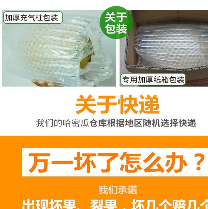 ［精裝一箱代發(fā)］哈密瓜西州蜜每箱3個裝毛重10斤左右航空包郵示例圖10