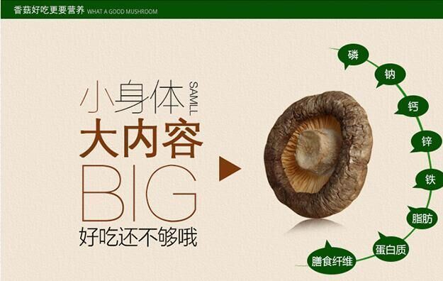珍源寶香菇 200g/瓶 珍珠菇冬菇古田金錢菇特產干貨一件包郵示例圖3