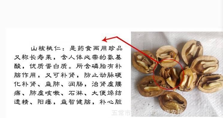 2016新貨東北秋子野生山核桃 厚皮核桃 秋子核桃一包5斤  5斤包郵示例圖2