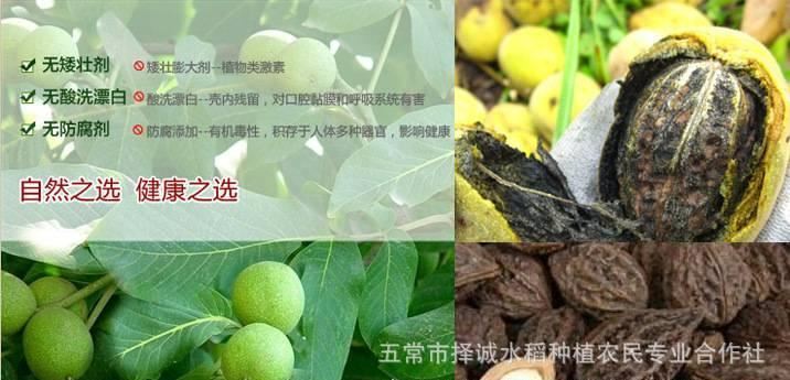 2016新貨東北秋子野生山核桃 厚皮核桃 秋子核桃一包5斤  5斤包郵示例圖3