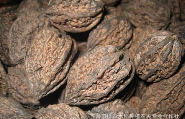 2016新貨東北秋子野生山核桃 厚皮核桃 秋子核桃一包5斤  5斤包郵示例圖5
