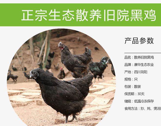 散養 舊院黑雞 營養豐富 散養 綠色無激素 孕婦 產婦滋補雞示例圖3