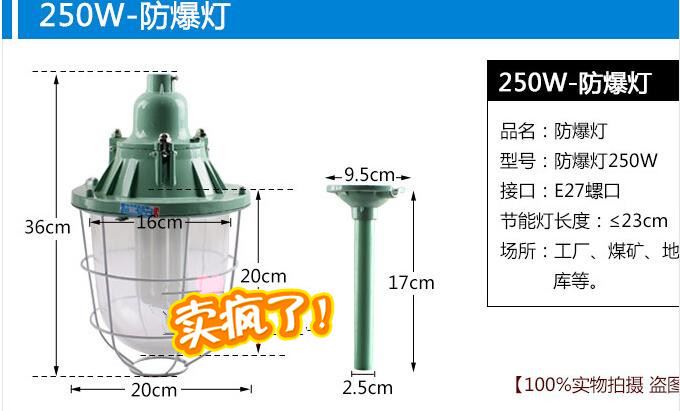 特價供應(yīng)防爆燈 200/250/400w防爆燈 車間倉庫噴漆房吊燈示例圖8