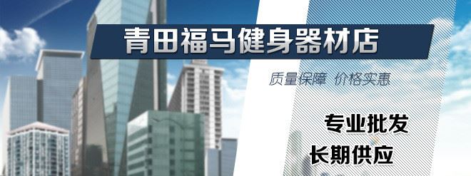 出售 精品瑜伽健身球 老年運(yùn)動健身球 太極腕力健身球示例圖2