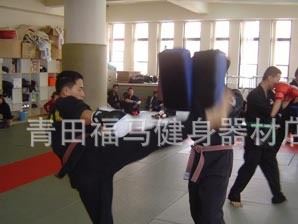 跆拳道腳靶 拳擊用品 散打 泰拳靶 boxing標(biāo)準(zhǔn)手持靶練習(xí)海綿靶示例圖10