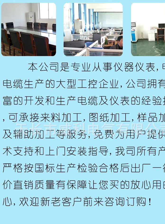 防水防爆熱電偶 工業(yè)壓簧螺釘式熱電偶 pt100熱電阻細(xì)熱電偶示例圖6