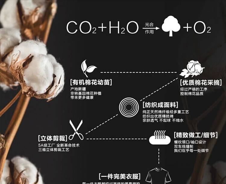 工作衣服diy班服定制純棉廣告文化POLO衫空白定做翻領(lǐng)T恤印字LOGO示例圖16