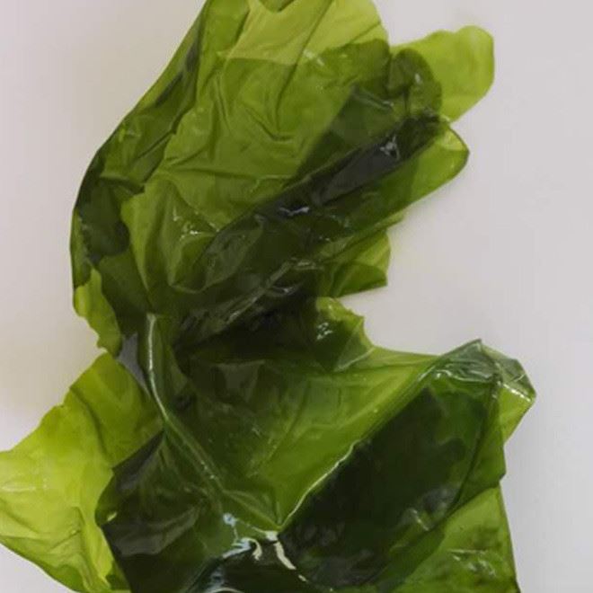 厂家供应优质海青菜 食品级人工养殖海青菜粉 散装脱水海青菜