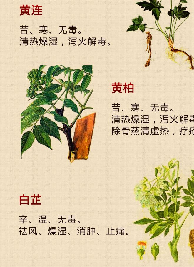 廠家直銷富和堂徐氏燒傷膏燙傷膏痔瘡褥瘡瘡恢復(fù)快燒燙傷膏示例圖6
