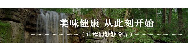 吉林金葉食品直銷金葉刺嫩芽 野生采摘原汁原味新鮮直達低價批發(fā)示例圖4