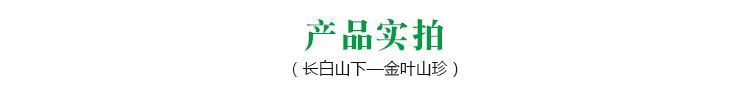 吉林金葉食品直銷金葉刺嫩芽 野生采摘原汁原味新鮮直達低價批發(fā)示例圖6