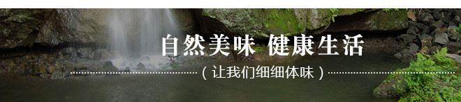 吉林金葉食品直銷金葉刺嫩芽 野生采摘原汁原味新鮮直達低價批發(fā)示例圖11