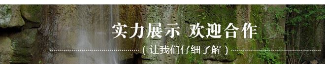 吉林金葉食品直銷金葉刺嫩芽 野生采摘原汁原味新鮮直達低價批發(fā)示例圖14